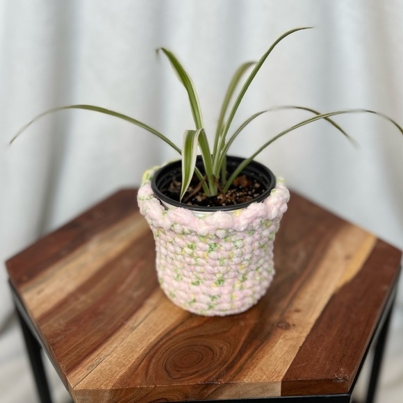 Handmade crocheted 3 inch pot cover PLANT NOT INCLUDED - Picture 1 of 3